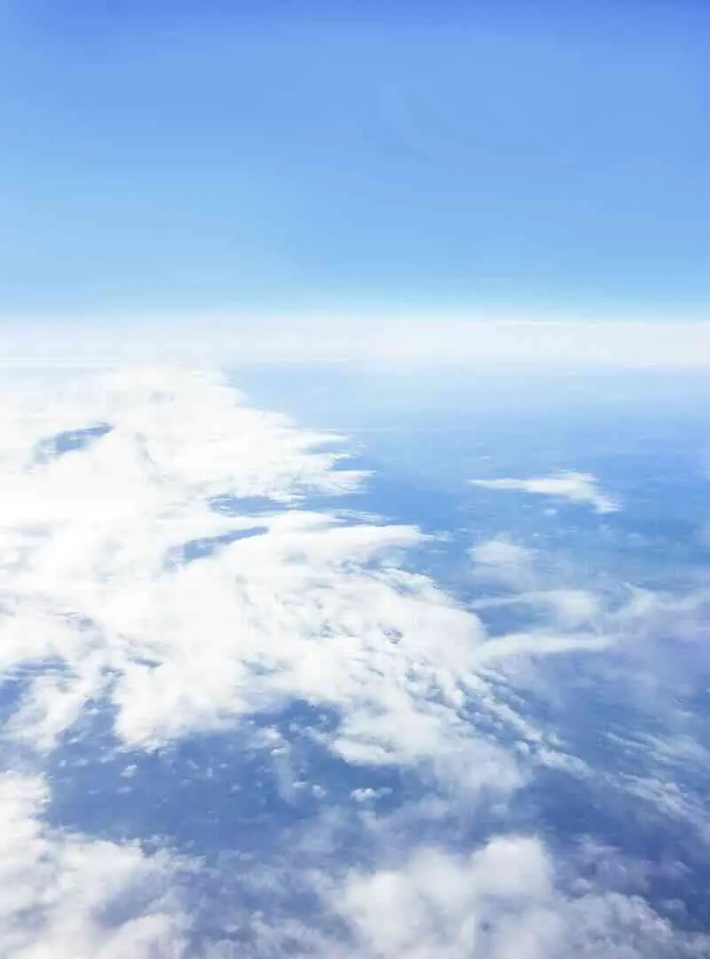 海外交流